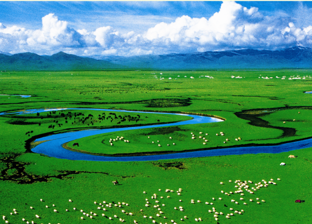 1505793134106576.png 6.png