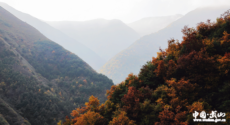 1509676745103848.jpg 2.jpg