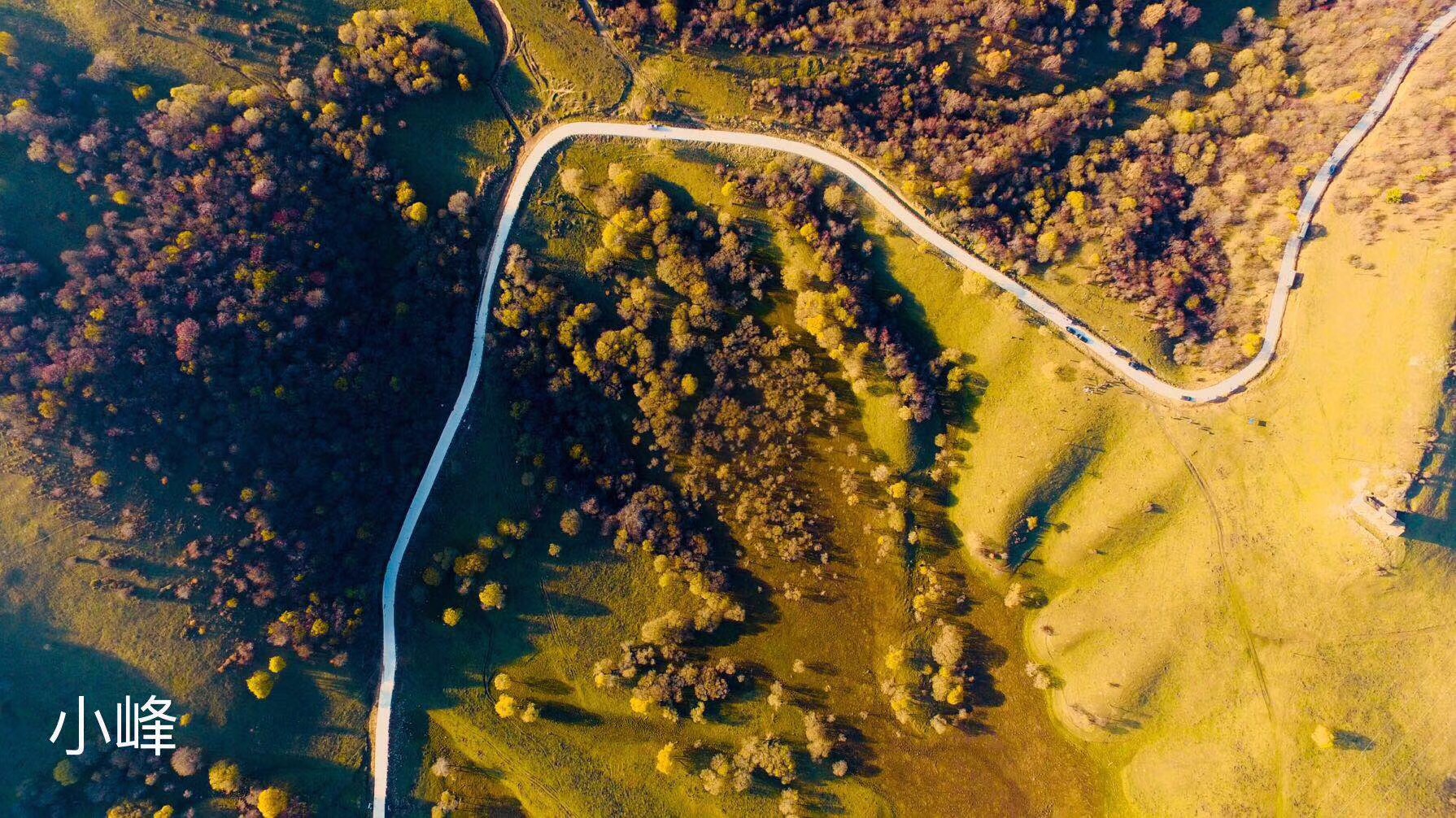 1509175120418010.jpg 微信图片_20171028151547.jpg