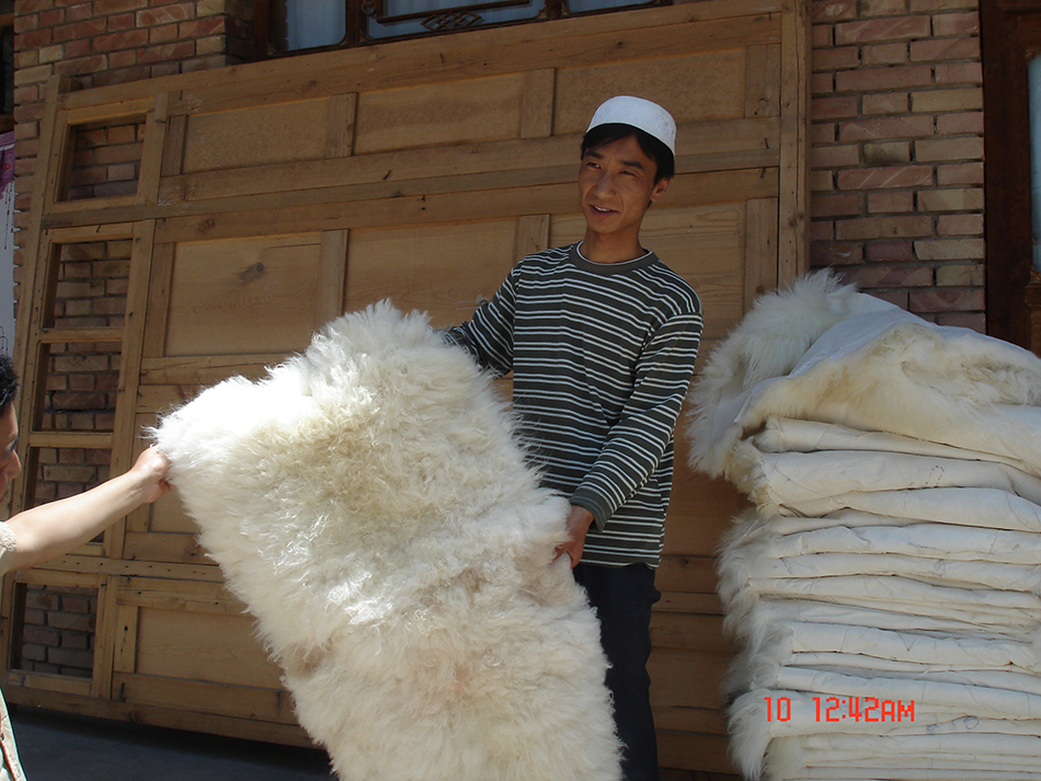 1513826446131100.jpg 10.jpg.JPG