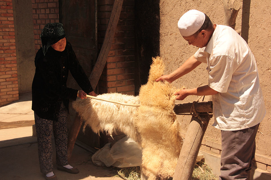 1513826424492283.jpg 2.jpg.JPG