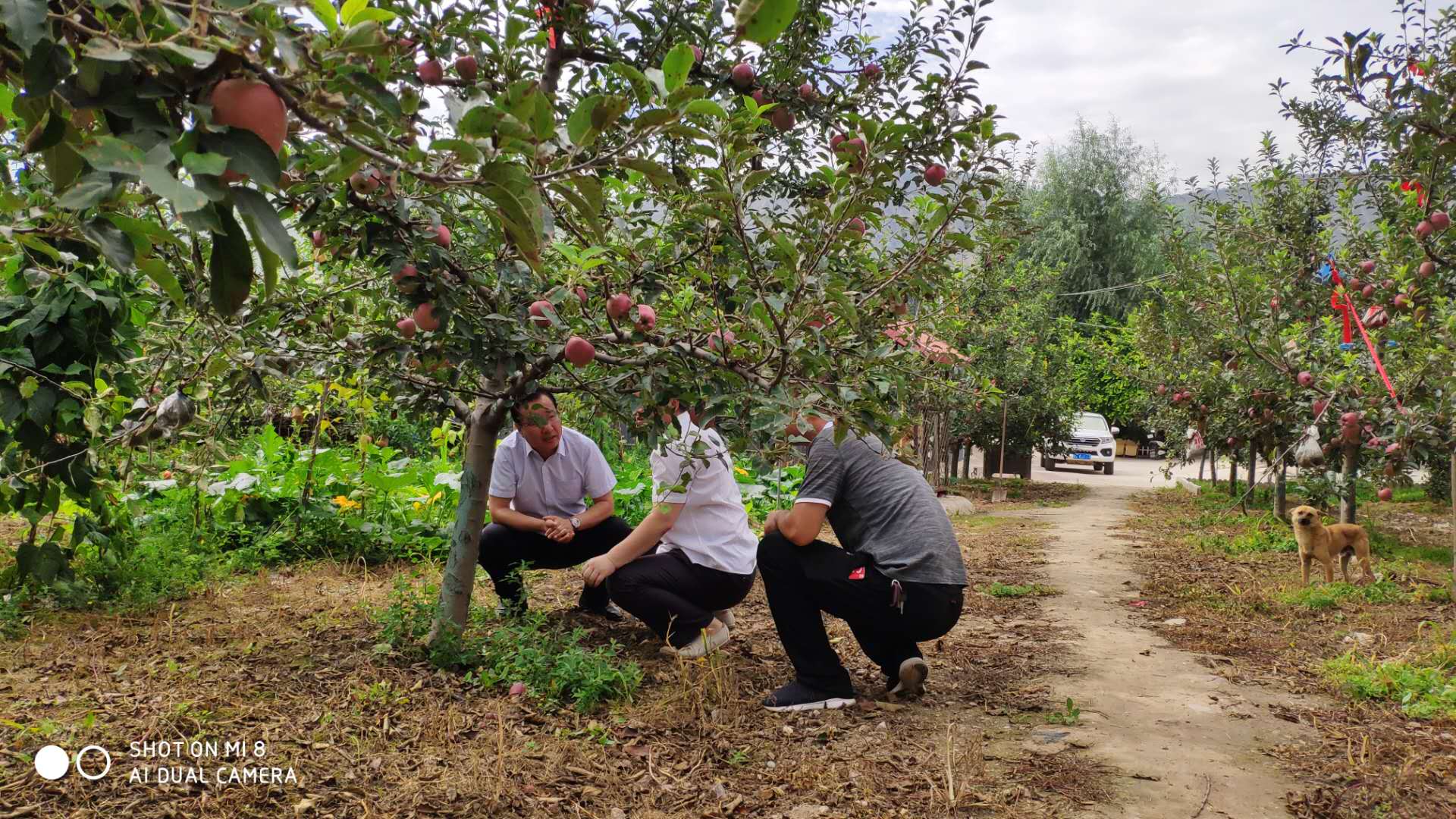 image001.jpg image001.jpg