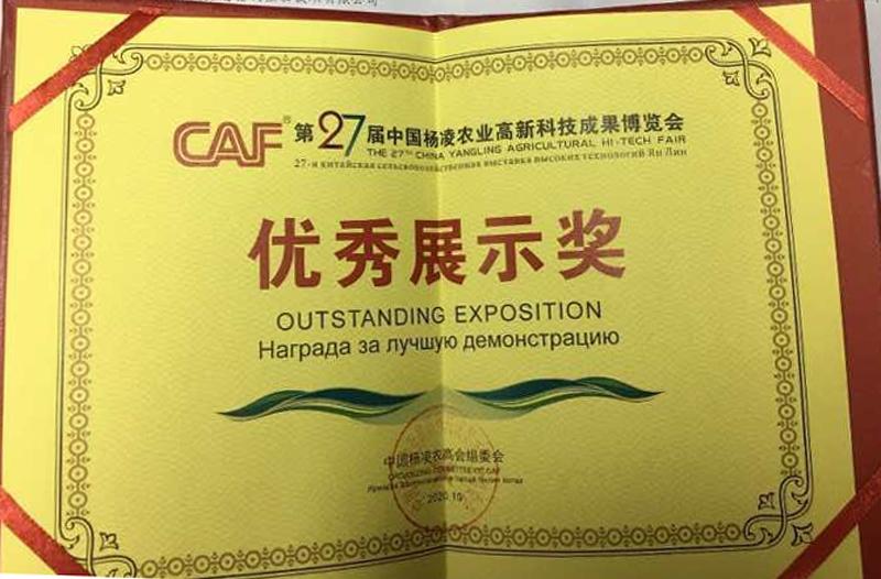 2020杨凌获奖证书.jpg