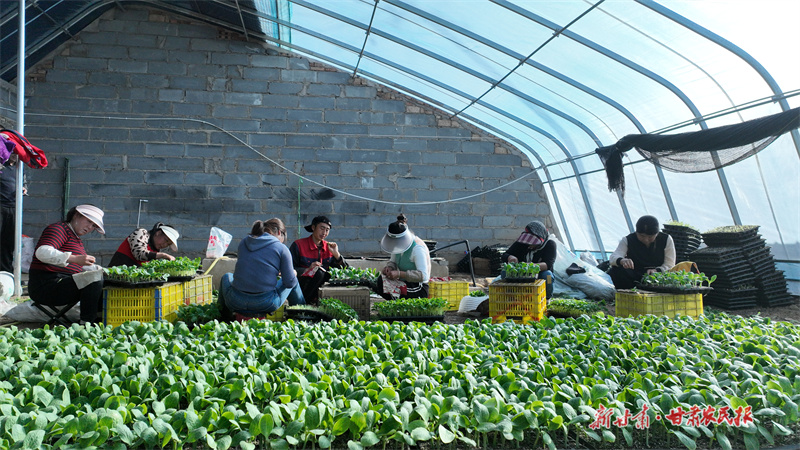 1701311776796363.jpg GetAttachment (15).jpg