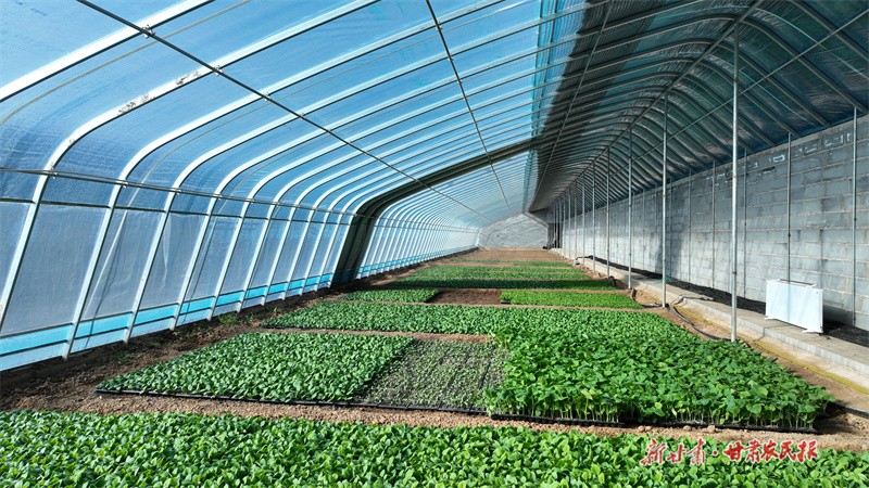 1701311803147218.jpg GetAttachment (17).jpg