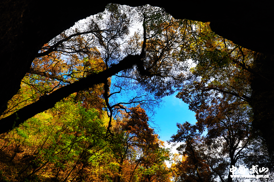 1509676774236674.jpg 4.jpg