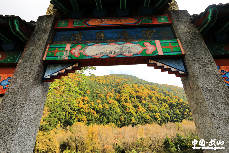 1509676732103620.jpg 1.jpg