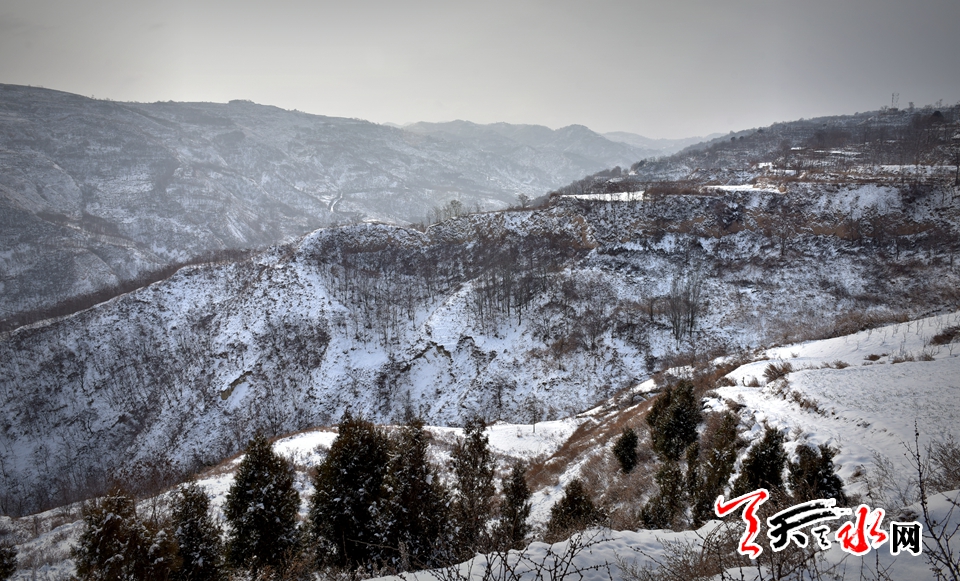 1515485979289431.jpg IMG10c37ba11e9c4654042224.jpg