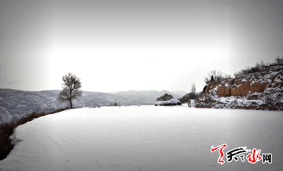 1515486138924193.jpg IMG10c37ba11e9c46540422714.jpg