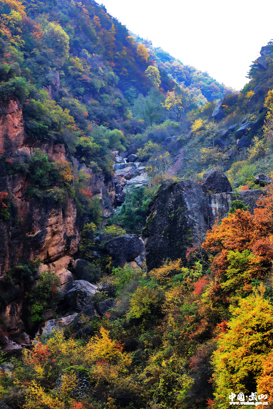 1509676887128587.jpg 7.jpg