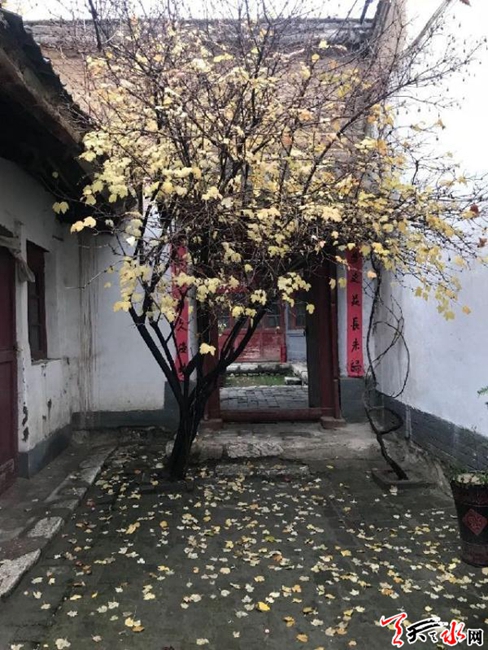 1522645328913091.jpg IMGb083fe7c568147262846821.jpg