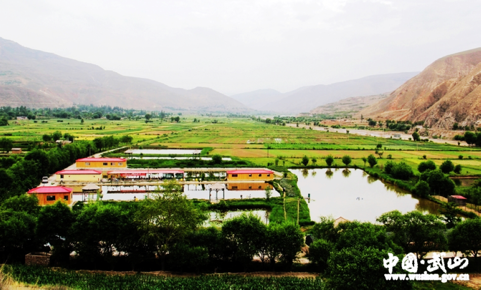 1501731551521545.jpg 甘肃武山打造旅游发展新格局7.jpg