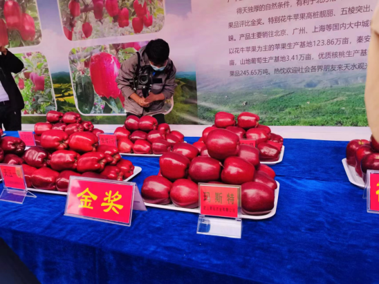 武山苹果勇夺全市金奖723.png