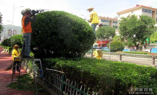 1529458240592977.jpg 微信图片_20180620092917.jpg