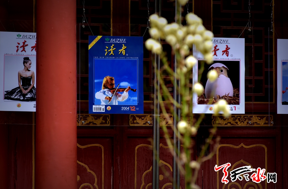 1507705992901903.jpg 3.jpg