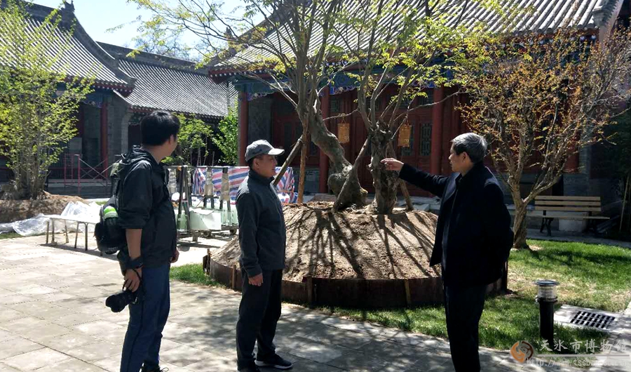 1524015853110118.jpg 20180417051719762.jpg