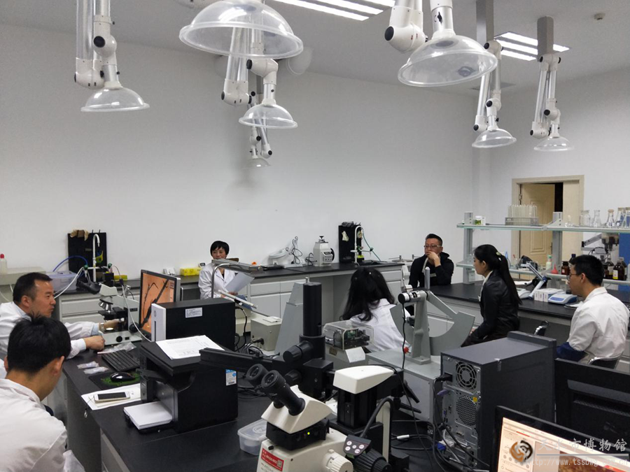 1523521782703741.png 20180412112507688.png