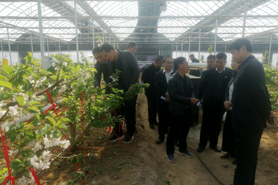 HUAWEI 15_50_171.jpg