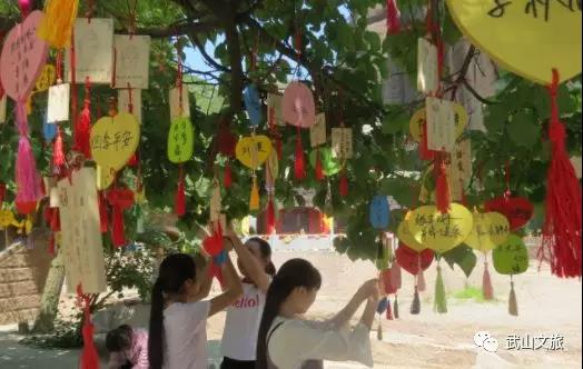 1560301463673705.jpg 8.jpg