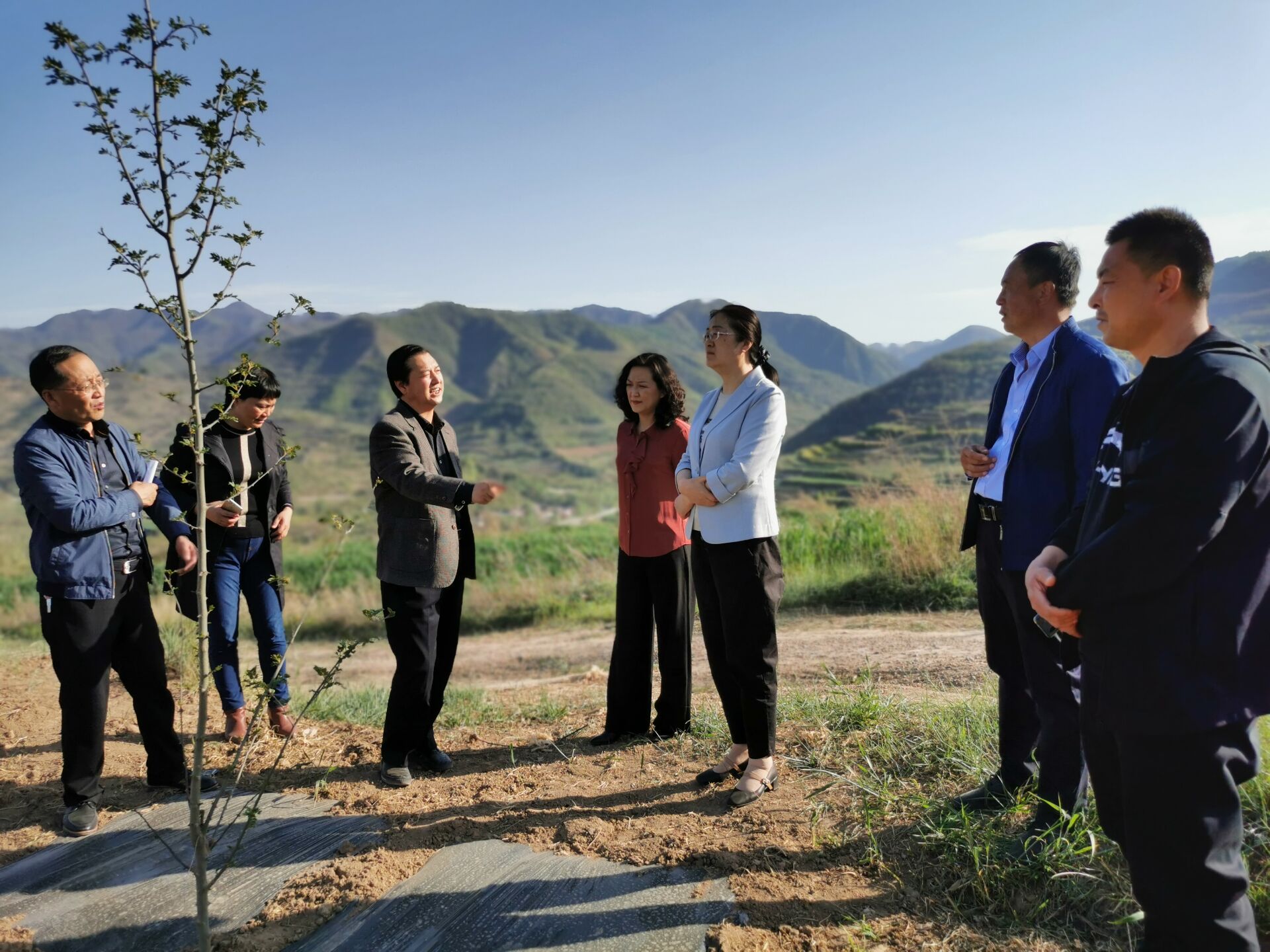 QQ图片20200430222901.jpg QQ图片20200430222901.jpg