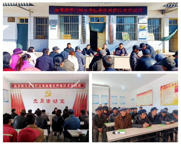 武山县积极开展豆角标准化种植技术培训116.png