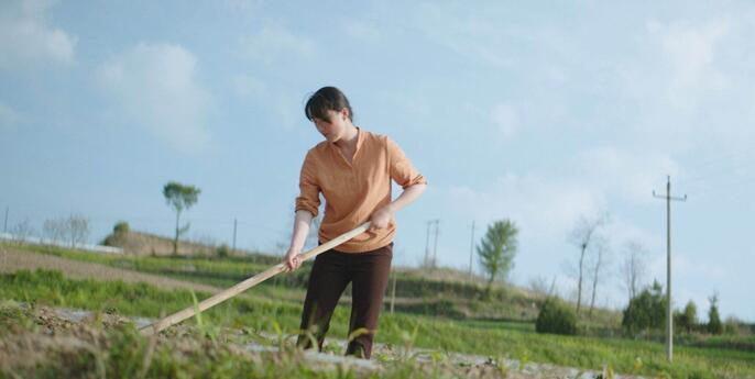 1546910361837914.jpg 9.jpg