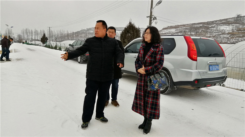 1547210665636870.jpg 2_副本.jpg