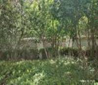 d9c9a5d9a27d5c3e85adb66ab9aa0d2