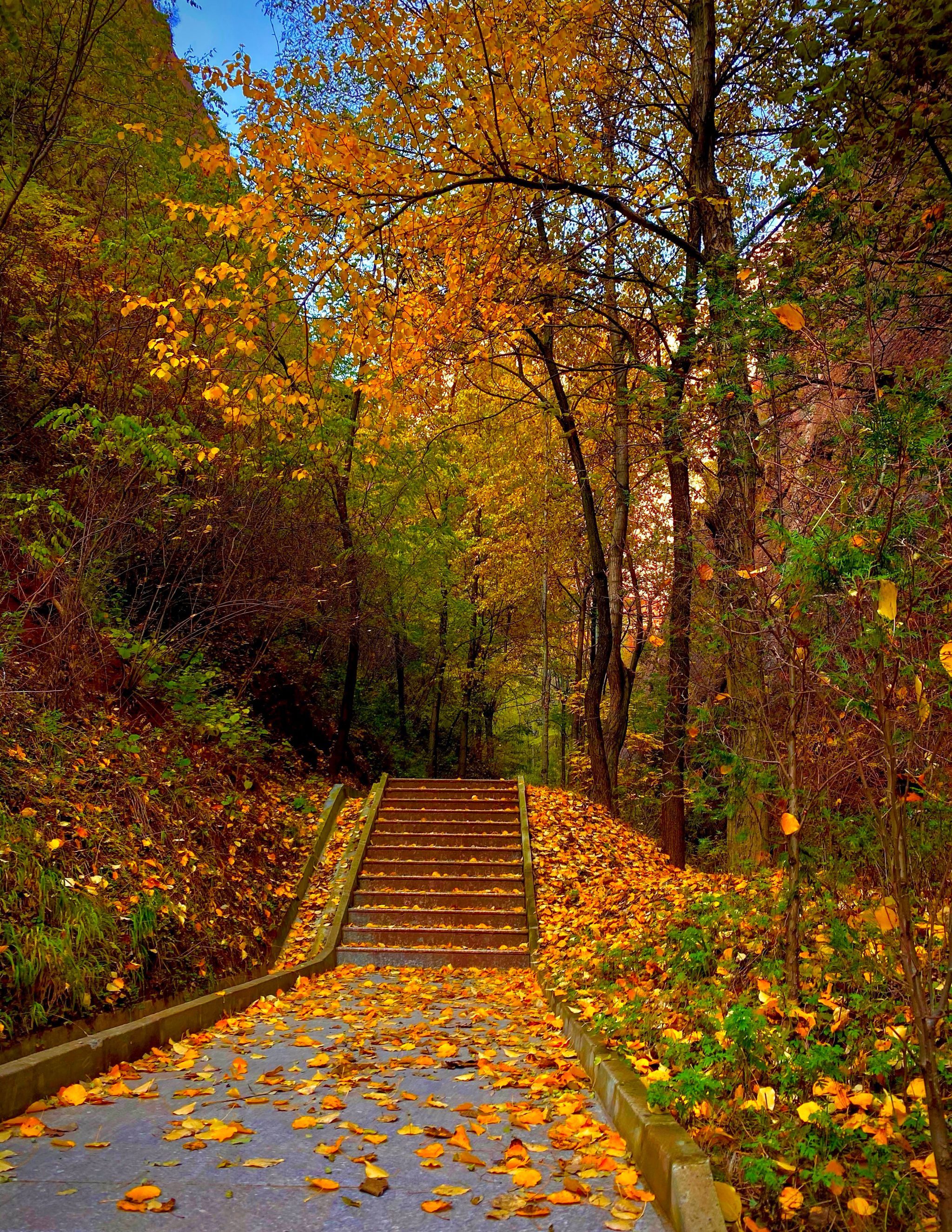 武山:水帘洞的秋,怎一个美字了得!(组图一)-天水市文化和旅游局