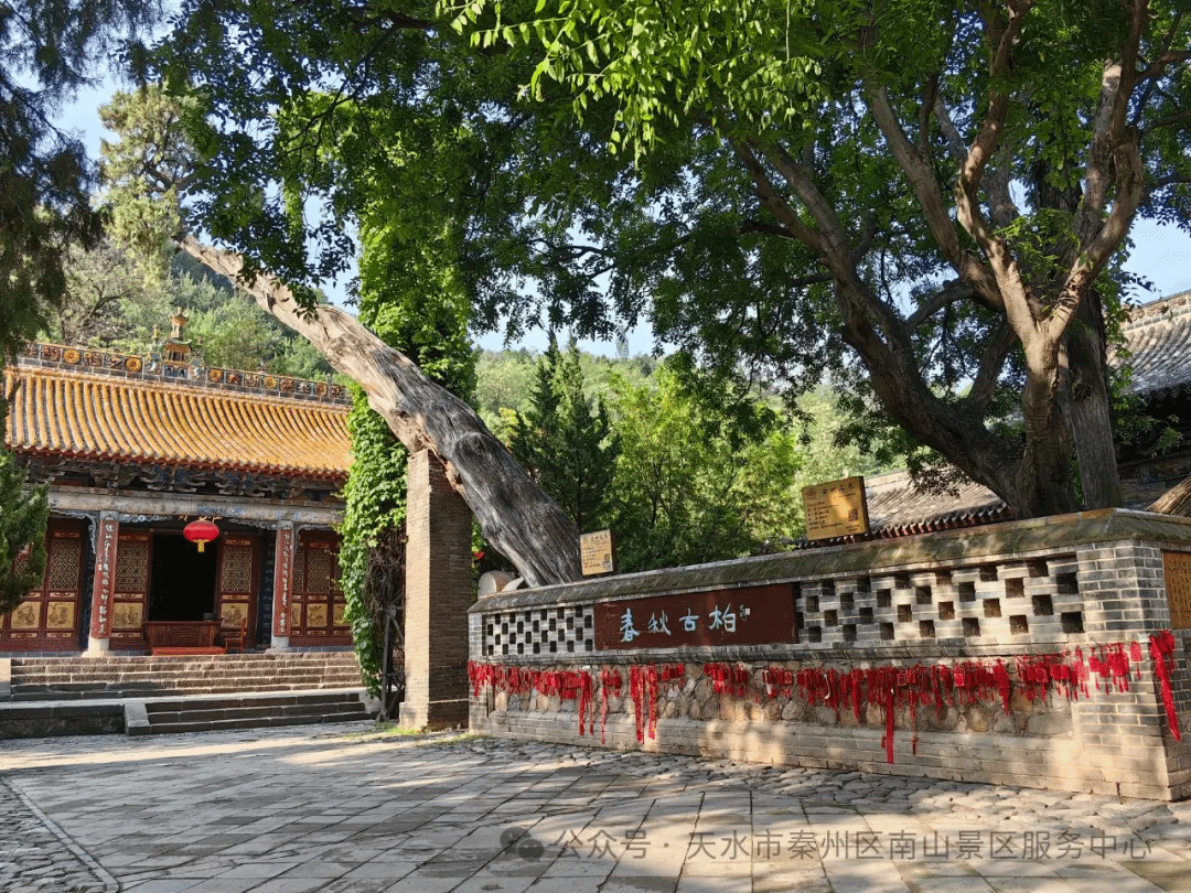 了解南郭寺的历史渊源和古树,古诗,古建,名泉等文化,进一步增强传承