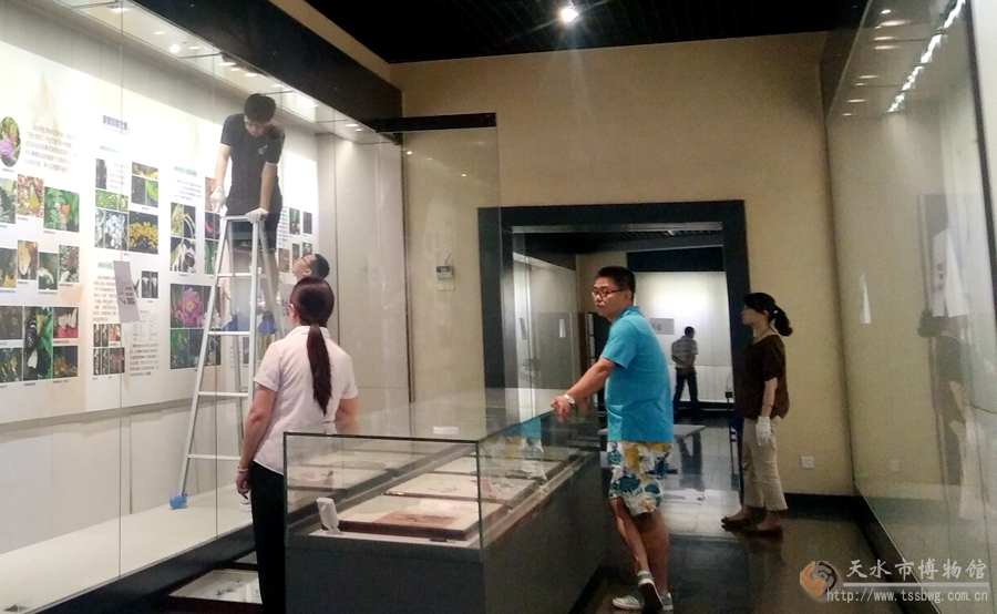 1500372189659332.jpg 3.jpg