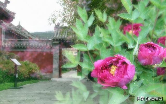 1588242596299630.jpg 679fbda1c4c043a4a9f776e31123ddef.jpg