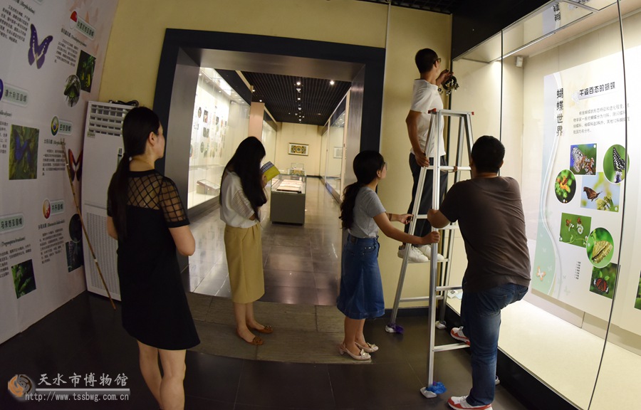 1500372204410781.jpg 4.jpg