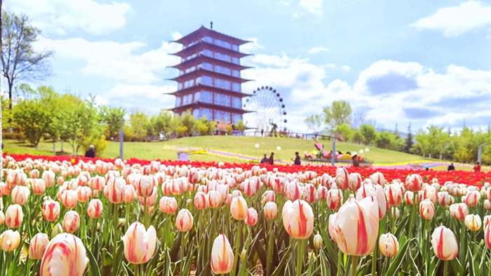 微信图片_20230418163550_副本.jpg 微信图片_20230418163550_副本.jpg