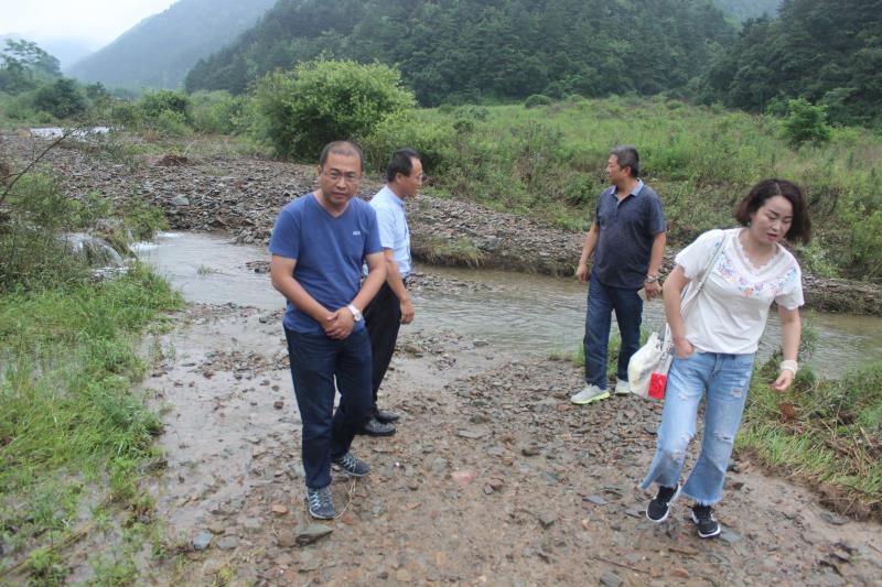 1531968089404498.jpg 微信图片_20180719104059.jpg