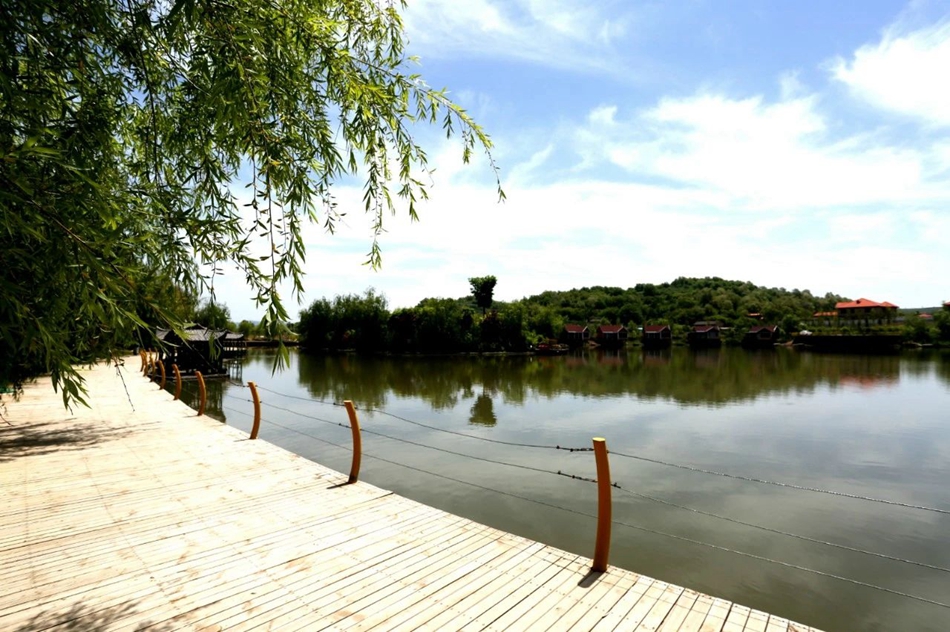 1591756374623573.jpg 6.jpg