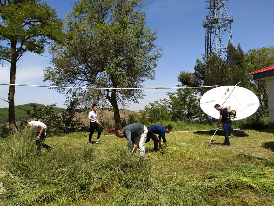 1527817592333625.jpg 1.jpg