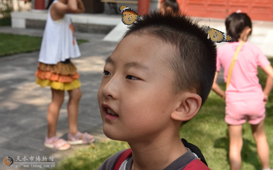 1501645623101899.jpg 2.jpg