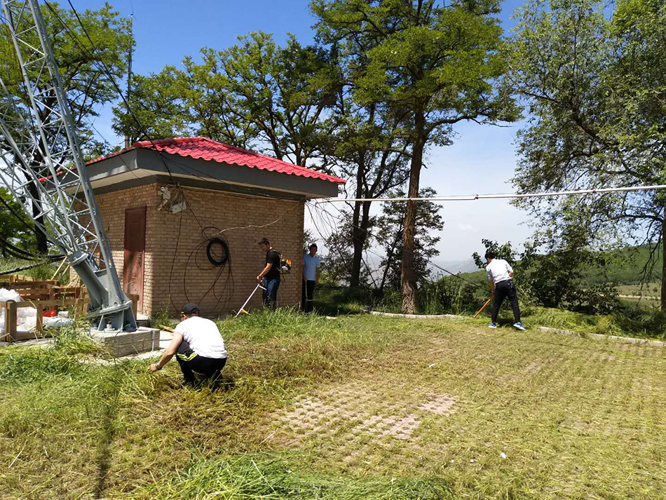 1527817585633815.jpg 3.jpg