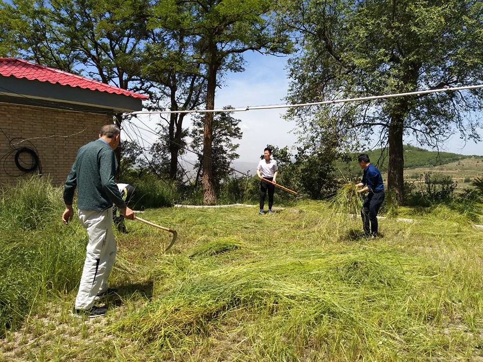 1527817579301007.jpg 2.jpg