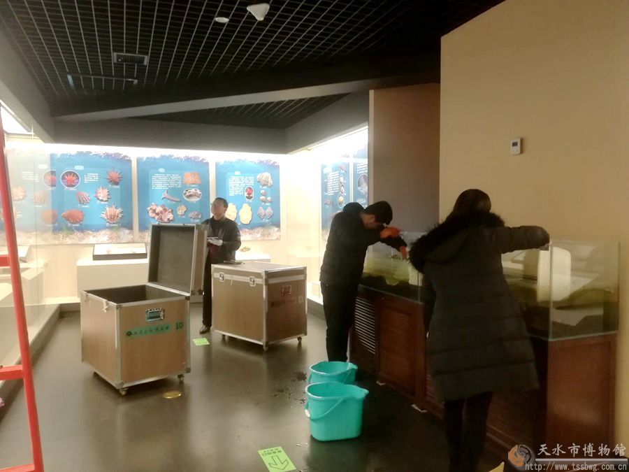 1541646850416676.jpg 3.jpg