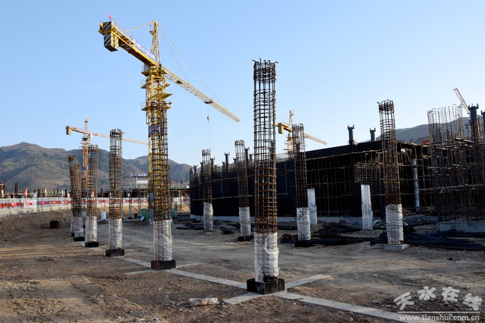 1553045549113982.jpg 7.jpg