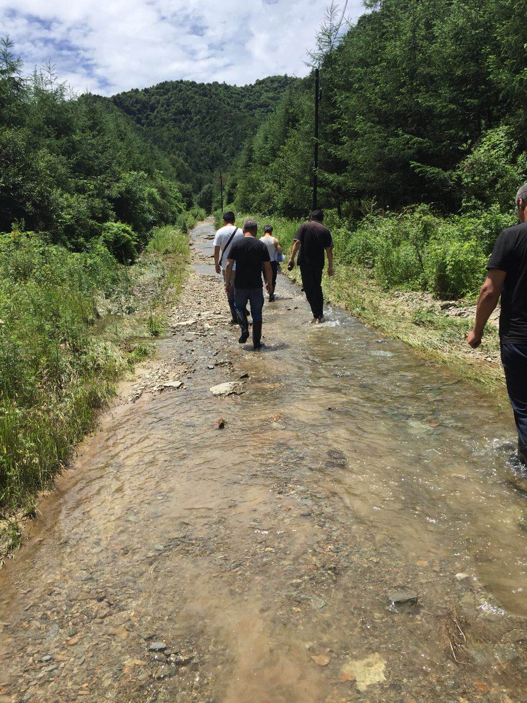 1531451056286419.jpg 微信图片_20180713110057.jpg