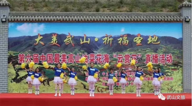 宣传推介精彩纷呈 品牌效应持续彰显240.png