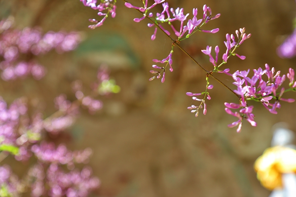 微信图片_20220502153252.jpg 微信图片_20220502153252.jpg