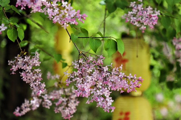 微信图片_20220502153243.jpg 微信图片_20220502153243.jpg