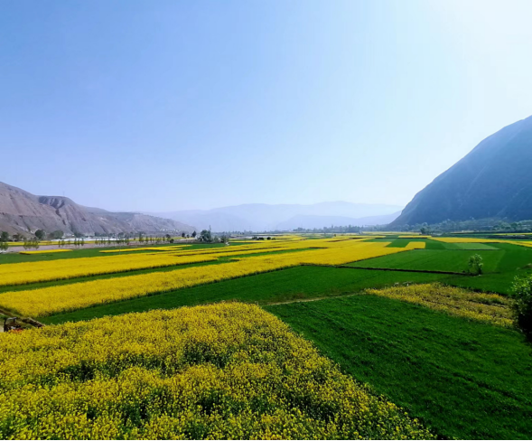 四月的武山,等你入画28.png 四月的武山,等你入画28.png