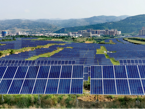 清水:大力发展清洁能源产业 助推乡村振兴296.png