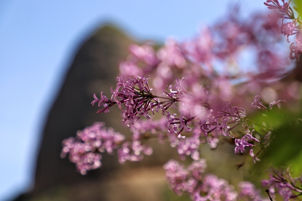 微信图片_20220502151840.jpg 微信图片_20220502151840.jpg