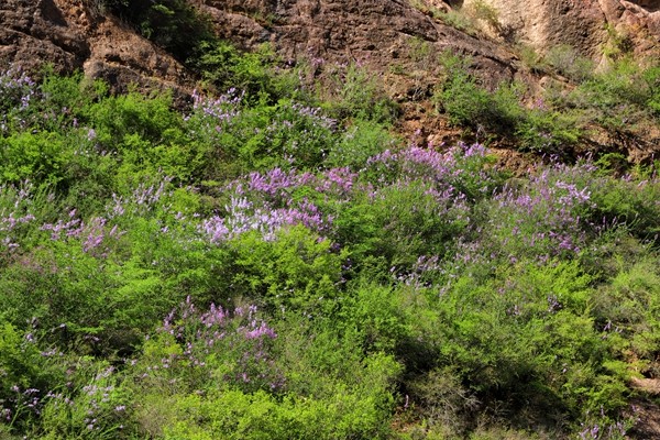 微信图片_20220502151820.jpg 微信图片_20220502151820.jpg